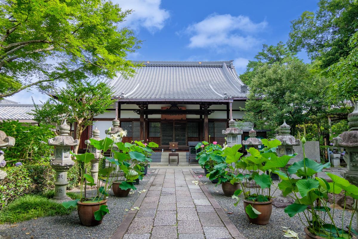 頼光寺の外観 (6月)